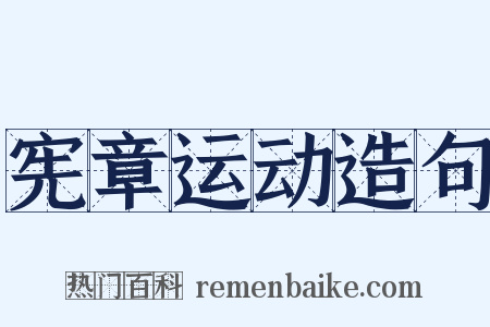 宪章运动造句是什么意思的图片